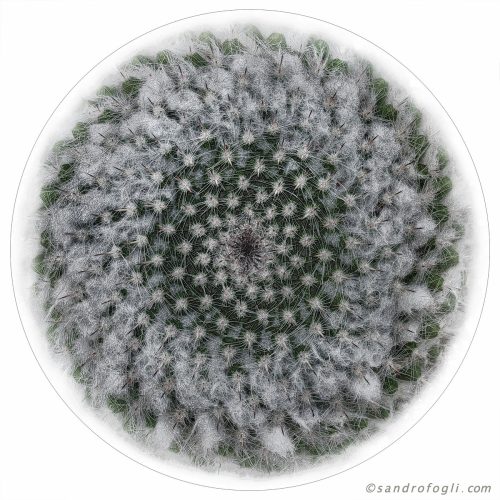 FLEUR planet 2