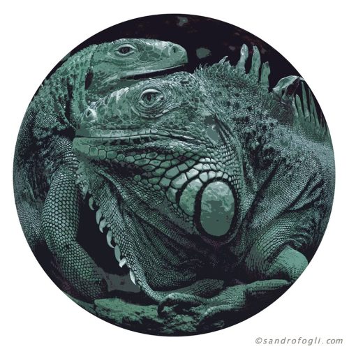 Animal Table - Iguana 2